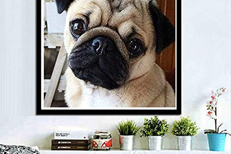 how to frame your Diamond Painting of Your Pug
